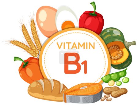 Illustration for Colorful banner showcasing food and fruit rich in Vitamin B1 - Royalty Free Image