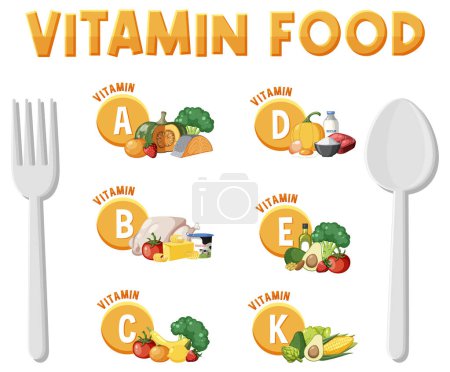 Ilustración de Ilustración de varios tipos de alimentos clasificados por contenido vitamínico - Imagen libre de derechos