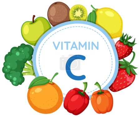 Téléchargez les illustrations : Illustration vectorielle colorée d'une bannière avec icône de vitamine C, entourée d'une variété de fruits et légumes riches en vitamine C - en licence libre de droit