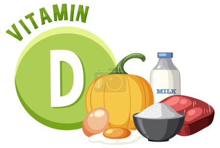 Ilustración de Conozca los alimentos esenciales que aportan vitamina D - Imagen libre de derechos