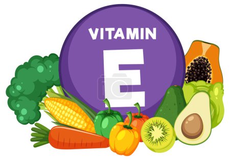 Téléchargez les illustrations : Illustration d'une variété de fruits et légumes riches en vitamine E - en licence libre de droit