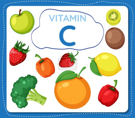 Illustration for Colorful vector illustration showcasing a frame filled with vitamin C-rich fruits and vegetables - Royalty Free Image