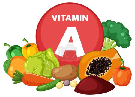 Ilustración de Colorido surtido de frutas y verduras ricas en vitamina A - Imagen libre de derechos