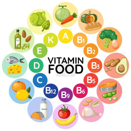 Téléchargez les illustrations : Illustration des différents groupes alimentaires classés par teneur en vitamines - en licence libre de droit