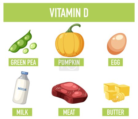 Téléchargez les illustrations : Découvrez les aliments riches en vitamine D dans une affiche amusante et éducative - en licence libre de droit