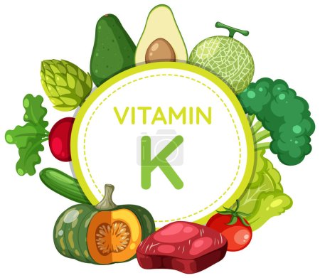 Téléchargez les illustrations : Illustration vectorielle colorée présentant des aliments et des fruits riches en vitamine K - en licence libre de droit
