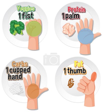 Ilustración de Guía ilustrada para comparar porciones de alimentos utilizando tamaños de mano - Imagen libre de derechos