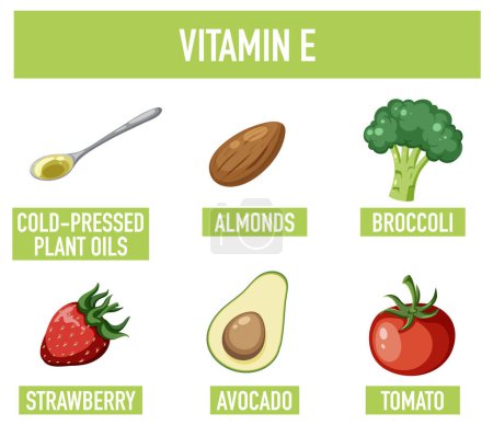 Téléchargez les illustrations : En savoir plus sur les aliments riches en vitamine E dans une illustration de dessin animé amusant - en licence libre de droit
