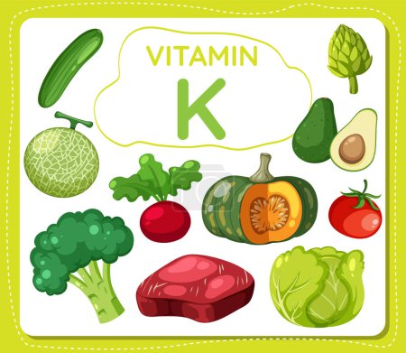 Illustration for Colorful vector illustration of vitamin K surrounded by fruits and vegetables - Royalty Free Image