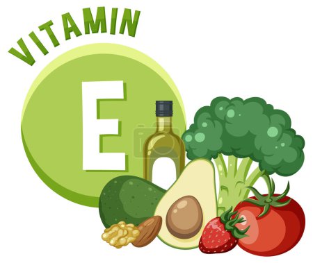 Ilustración de Descubre los alimentos ricos en vitamina E en este póster educativo - Imagen libre de derechos