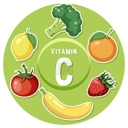 Illustration for Colorful vector illustration showcasing vitamin C-rich foods for educational purposes - Royalty Free Image