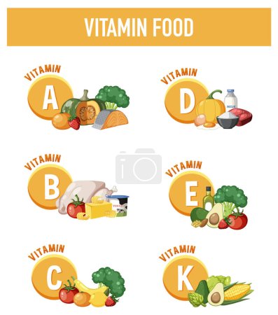 Ilustración de varios tipos de alimentos clasificados por su contenido vitamínico