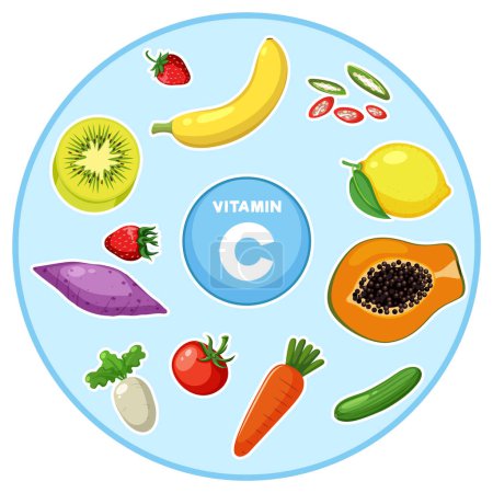 Téléchargez les illustrations : Illustration colorée de fruits et légumes riches en vitamine C - en licence libre de droit