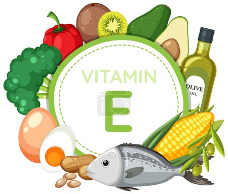 Illustration for A vibrant vector illustration showcasing a Vitamin E icon amidst a variety of fruits and vegetables, emphasizing their rich nutritional content - Royalty Free Image