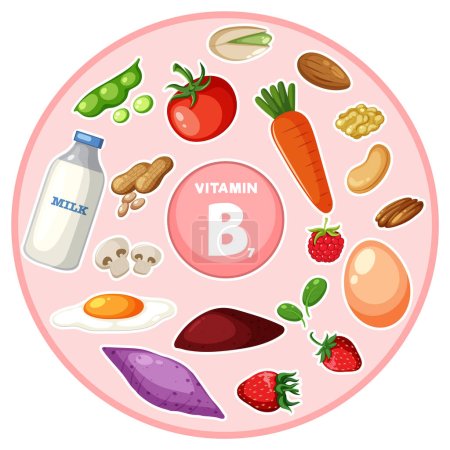 Téléchargez les illustrations : Illustration d'une variété d'aliments et de légumes riches en vitamine B7 - en licence libre de droit