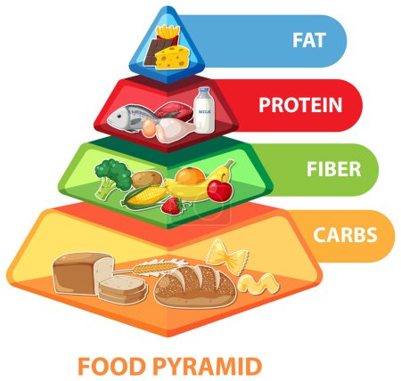 Illustration for An illustrated infographic depicting a cartoon food pyramid for nutrition - Royalty Free Image