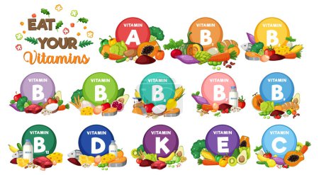 Ilustración que muestra diferentes grupos de alimentos categorizados por su contenido vitamínico