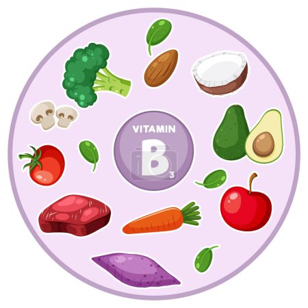 Téléchargez les illustrations : Illustration d'une variété d'aliments et de légumes riches en vitamine B3 - en licence libre de droit