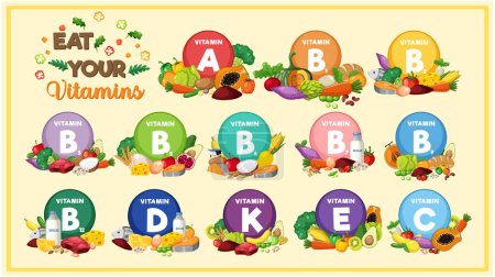 Téléchargez les illustrations : Illustration montrant différents groupes alimentaires classés par leur teneur en vitamines - en licence libre de droit