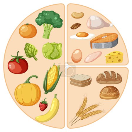 Vektorillustration einer Gruppe von Lebensmitteln, die in verschiedene Makronährstoffe unterteilt sind