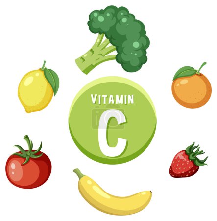 Téléchargez les illustrations : Illustration vectorielle colorée présentant des aliments riches en vitamine C - en licence libre de droit