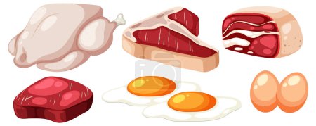 Téléchargez les illustrations : Un ensemble coloré d'illustrations alimentaires riches en protéines - en licence libre de droit