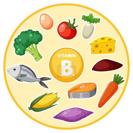 Téléchargez les illustrations : Illustration colorée de style dessin animé mettant en vedette divers aliments riches en vitamine B2 - en licence libre de droit