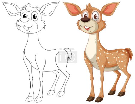 Illustration for Vector illustration of a fawn, colored and line art. - Royalty Free Image