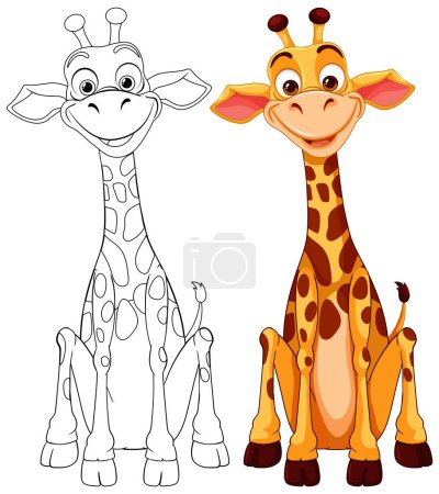 Téléchargez les illustrations : Illustration vectorielle d'une girafe, colorée et contour. - en licence libre de droit