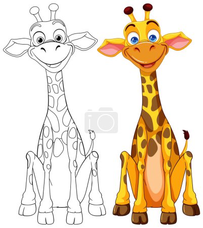 Téléchargez les illustrations : Illustration vectorielle d'une girafe, colorée et contour - en licence libre de droit