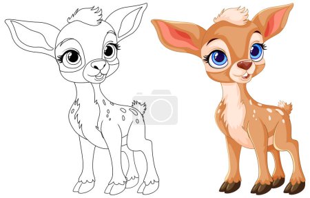 Vector illustration of a fawn, outlined and colored