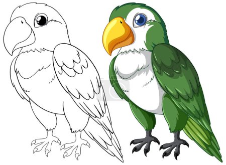 Téléchargez les illustrations : Illustration vectorielle d'un perroquet, contour et couleur - en licence libre de droit