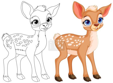 Illustration for Vector illustration of a fawn, colored and line art. - Royalty Free Image