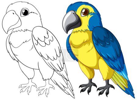 Illustration for Vector drawing of a parrot, outlined and colored - Royalty Free Image