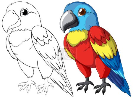Téléchargez les illustrations : Graphique vectoriel d'un perroquet, tracé et coloré - en licence libre de droit