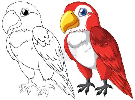 Téléchargez les illustrations : Dessin vectoriel d'un perroquet, contour et couleur - en licence libre de droit