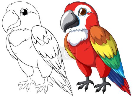 Illustration for Illustration of a vibrant parrot beside its sketch. - Royalty Free Image