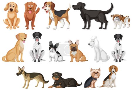 Colección de varias razas de perros de dibujos animados de pie y sentado.