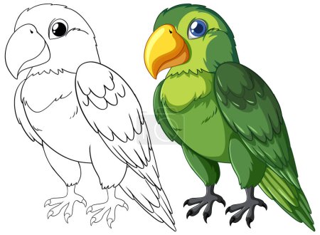 Téléchargez les illustrations : Dessin vectoriel d'un perroquet, coloré et contour. - en licence libre de droit