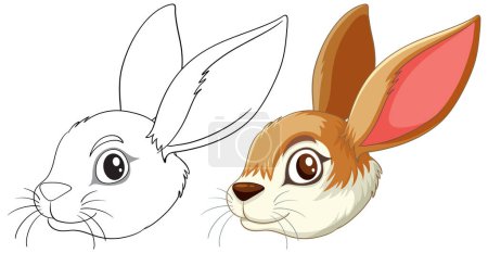Illustration for Transition from line art to full color rabbit - Royalty Free Image