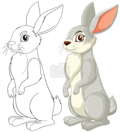 Téléchargez les illustrations : Du croquis à la couleur, deux étapes de l'illustration du lapin - en licence libre de droit