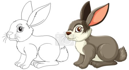 Ilustración de Comparación lado a lado de las etapas de dibujo de conejo - Imagen libre de derechos