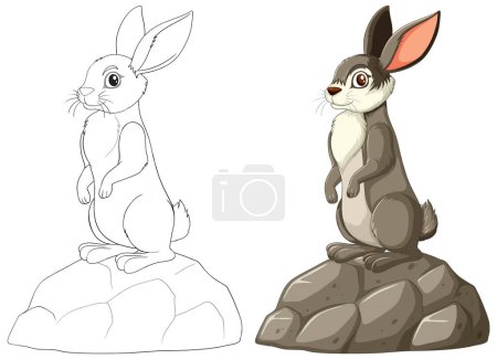 Téléchargez les illustrations : Illustrations de lapin colorées et esquissées côte à côte. - en licence libre de droit