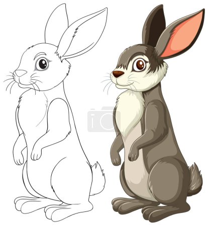Illustration for Two rabbits, one sketched and one colored. - Royalty Free Image