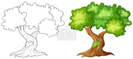 Téléchargez les illustrations : Illustration vectorielle d'un arbre, avant et après coloration - en licence libre de droit