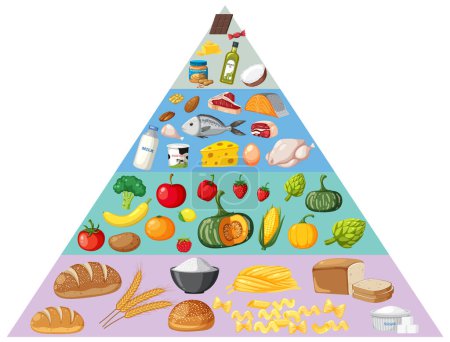 Illustrated food pyramid with various food groups.