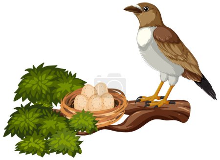 Ilustración de Ilustración vectorial de aves cuidando huevos en el nido. - Imagen libre de derechos