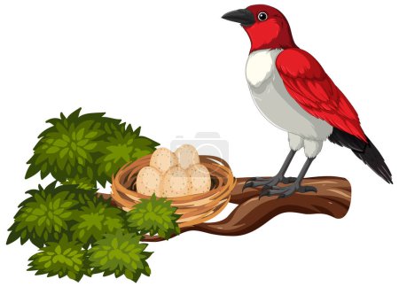 Red and white bird standing beside a nest of eggs.