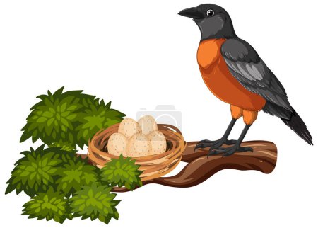 Ilustración de Ilustración vectorial de pájaro con nido en rama de árbol. - Imagen libre de derechos
