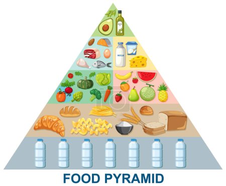 Illustration einer Nahrungsmittelpyramide mit verschiedenen Nahrungsmittelgruppen.
